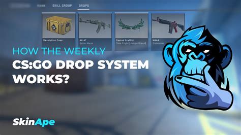 how many cases can drop in csgo|Guide :: [2024] Active Drop Pool for Cases UPDATED .